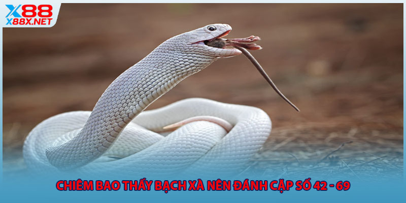 Chiêm bao thấy bạch xà nên đánh cặp số 42 - 69