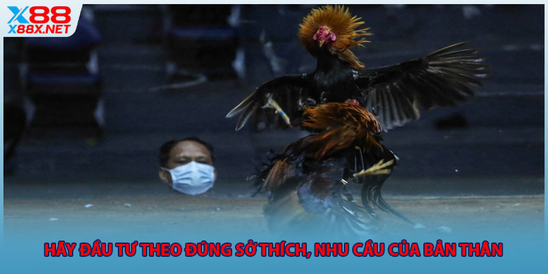 Hãy đầu tư theo đúng sở thích, nhu cầu của bản thân 